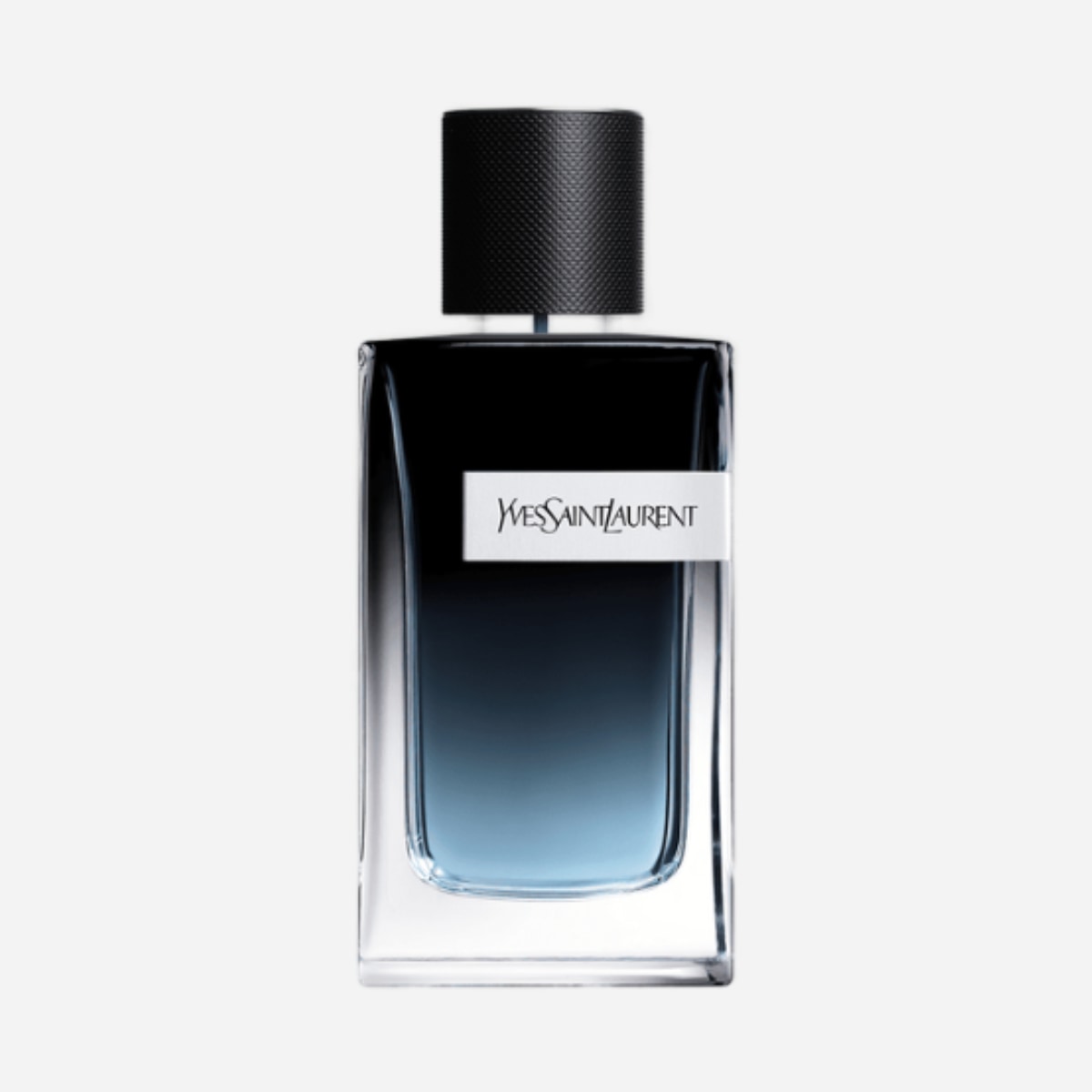 Y – YSL